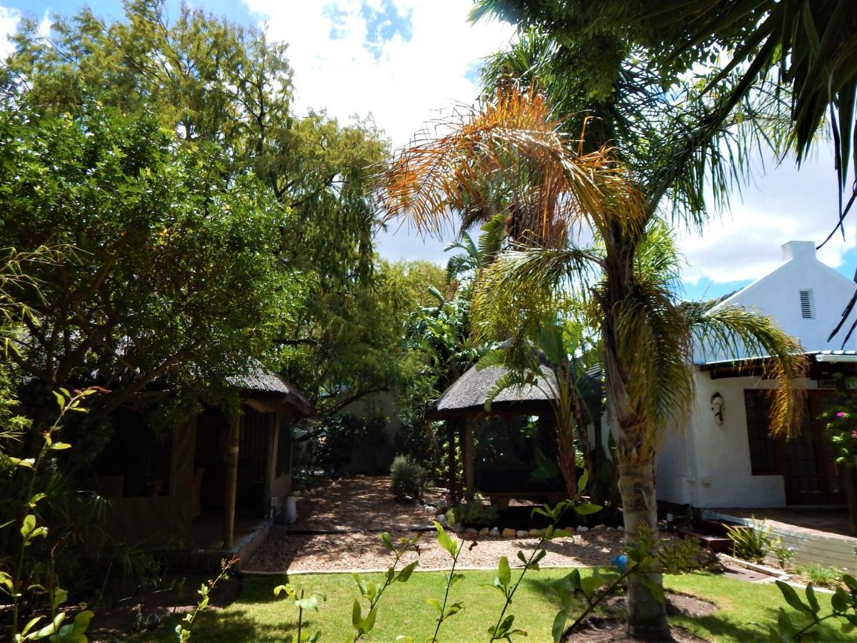 Khashamongo pensión Somerset West Exterior foto